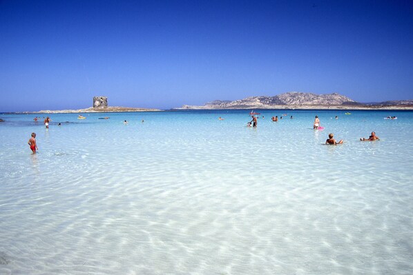 Beach - Cala Rosa Club Hotel (Stintino)