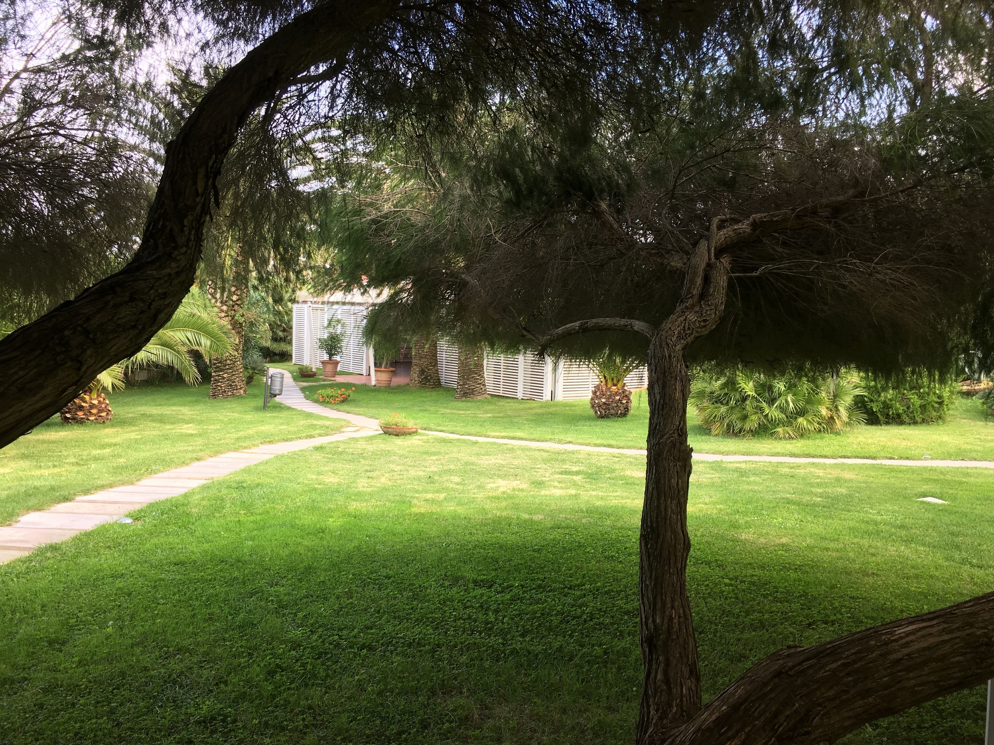 A well-maintained garden with a pathway leading to a building.