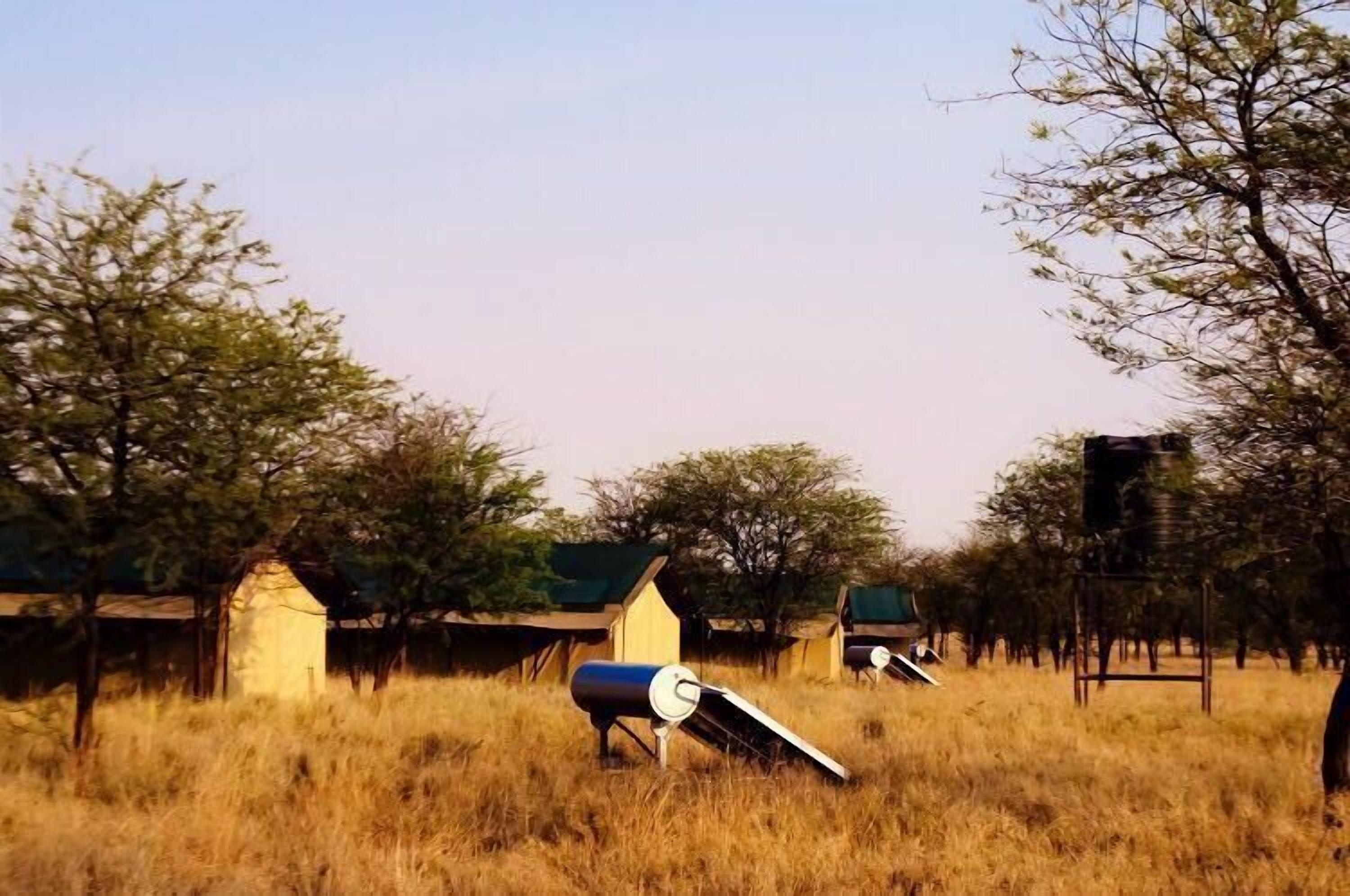 luxury tent | park view