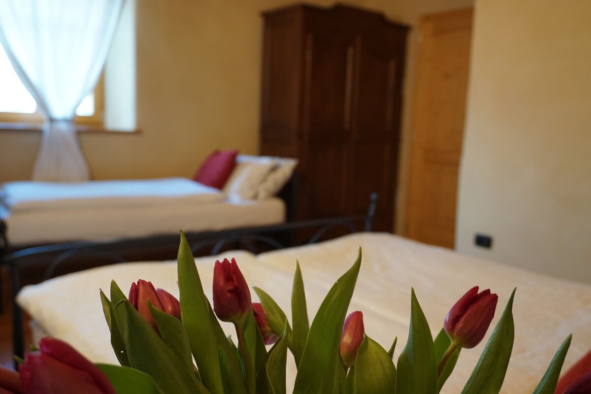 Comfort Room | Soundproofing, free WiFi