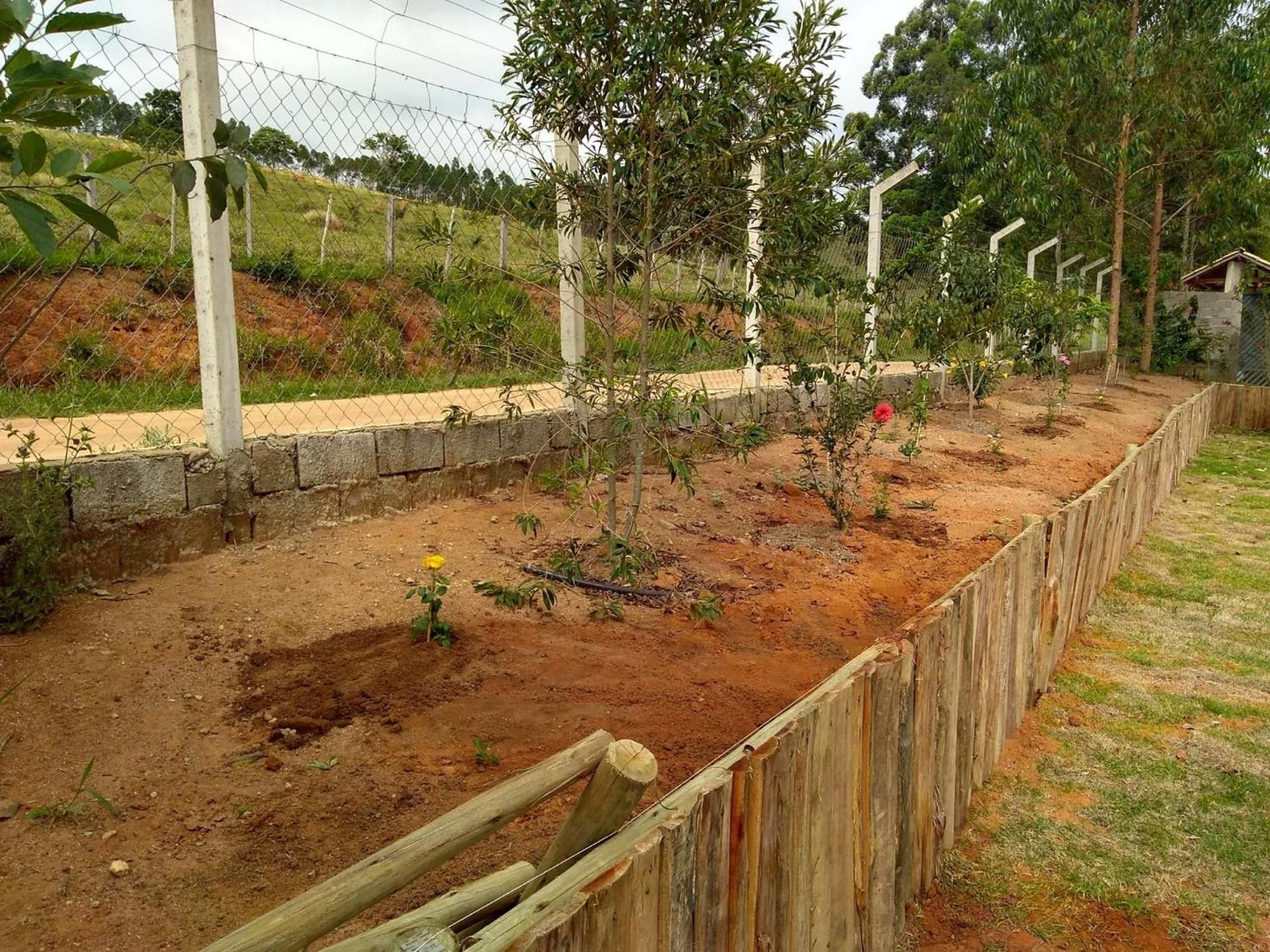 Un jardin clos, avec un sentier de terre et de jeunes arbres.
