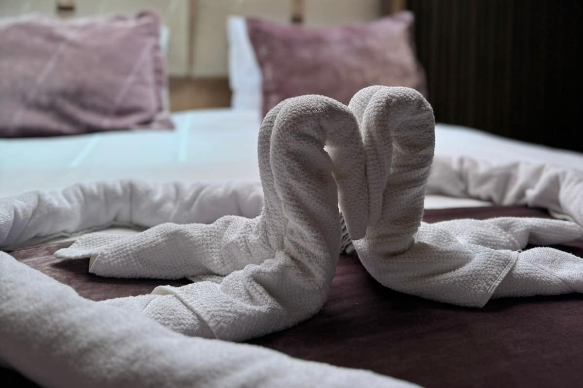 Premium Suite | Egyptian cotton sheets, premium bedding, Select Comfort beds, desk