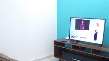 Fernseher