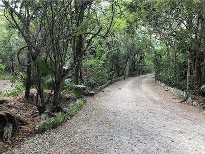 Cozy Studio in the Jungle!