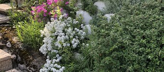 Garden View Apartment Apartments Rikli Rodine near Bled