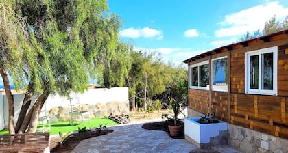 Una hermosa casa de madera oasis rodeado de plantas y árboles.