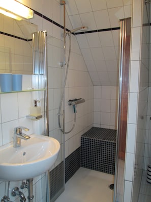 Douche, sèche-cheveux, serviettes fournies, savon