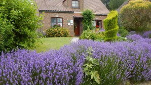 A house with a brick exterior, a tiled roof, and a well-maintained garden with purple flowers. - B&B La Chrysalide (Mons)