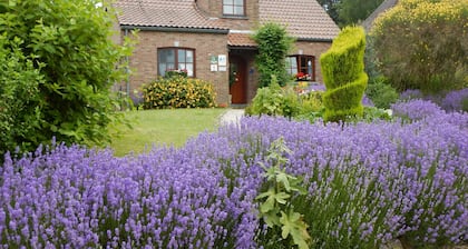 B&B La Chrysalide