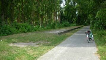 A paved path with a bicycle parked on the side, surrounded by dense green foliage.