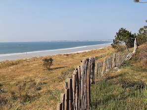 A coastal landscape with a wooden fence, grassy terrain, and a beach in the background.