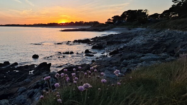 A rocky shoreline with water, a sunset, and some vegetation.