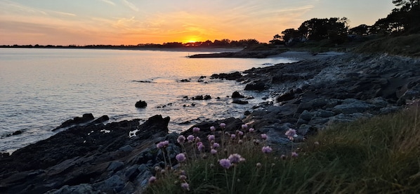 A rocky shoreline with water, a sunset, and some vegetation.