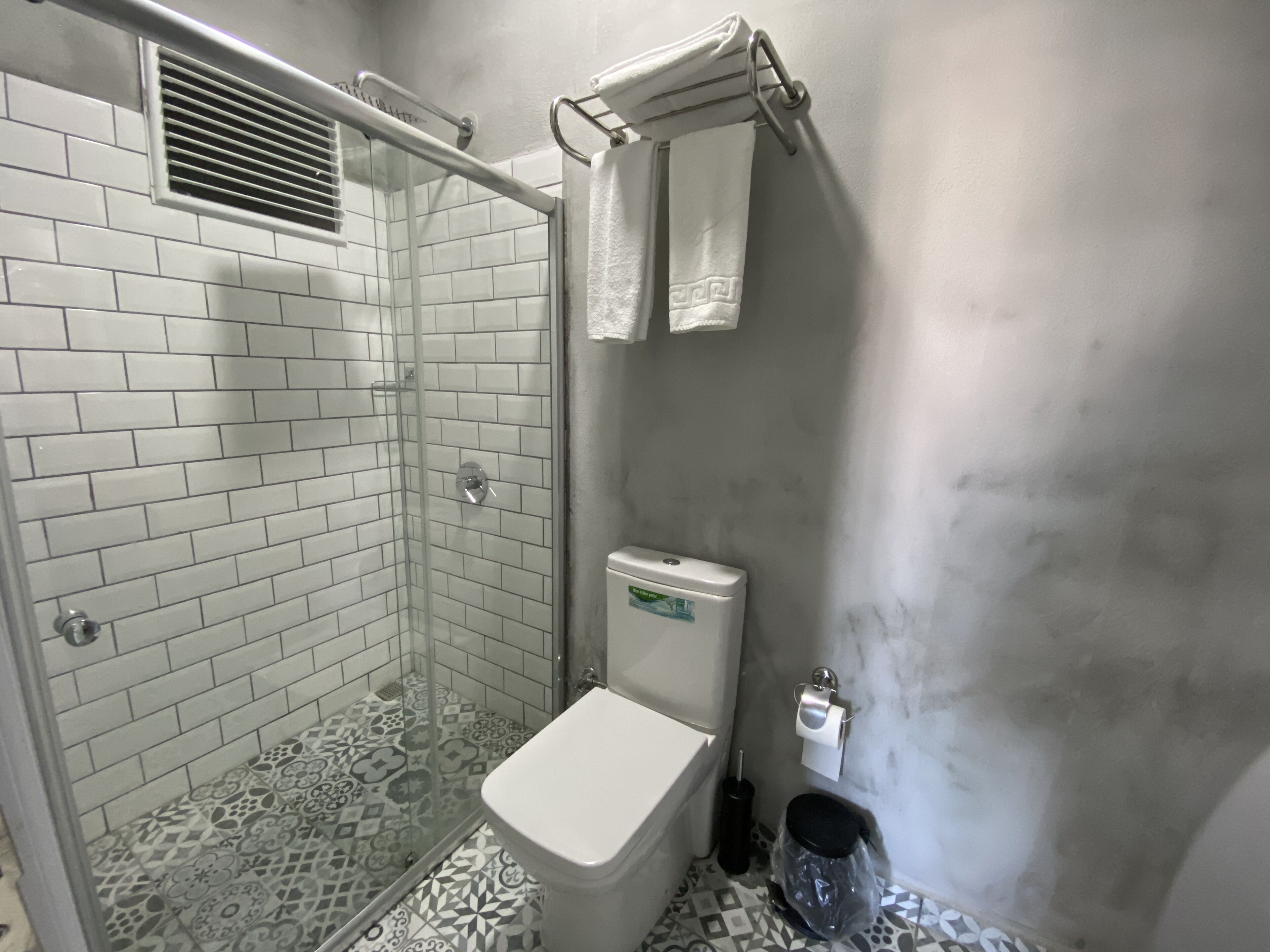 A bathroom with a shower, toilet, and patterned floor tiles.