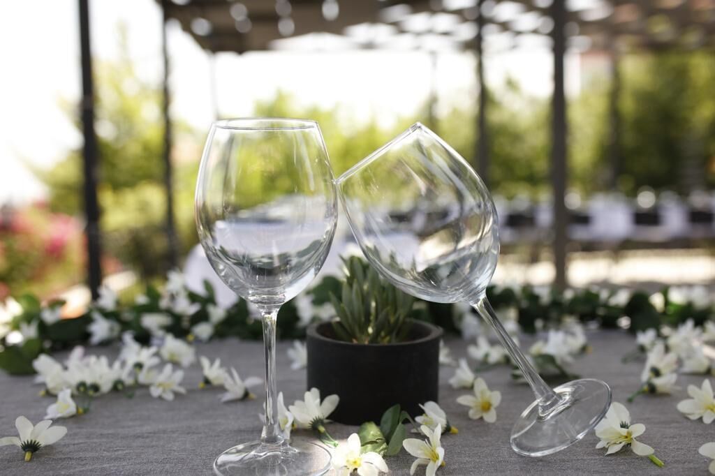 Dos copas de vino vacías sobre una mesa con flores blancas y una planta en maceta.