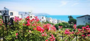 A coastal view with blooming pink flowers in the foreground, a street lamp, and buildings in the background. - No57 Suites (Sinop)