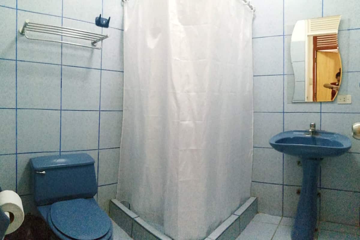 Dusche, Regendusche, Haartrockner, HandtĂŒcher