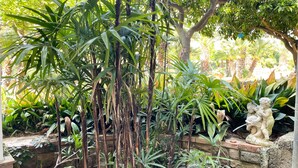 A lush garden with various plants and a stone statue. - Solemar Sicilia - Villa Caterina (Cefalù)