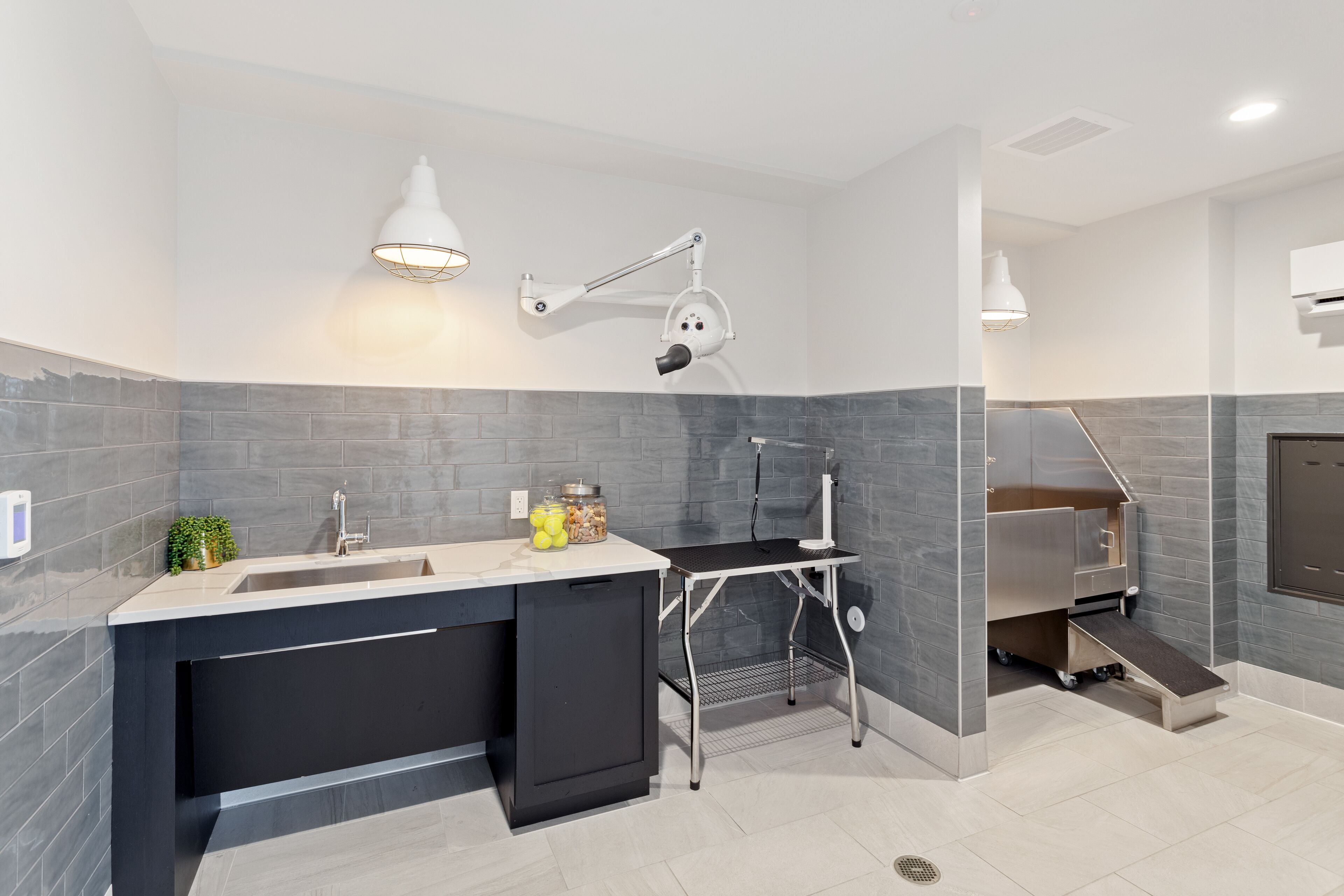A modern kitchen with a built-in dishwasher, a sink, and a countertop with a plant and jars.