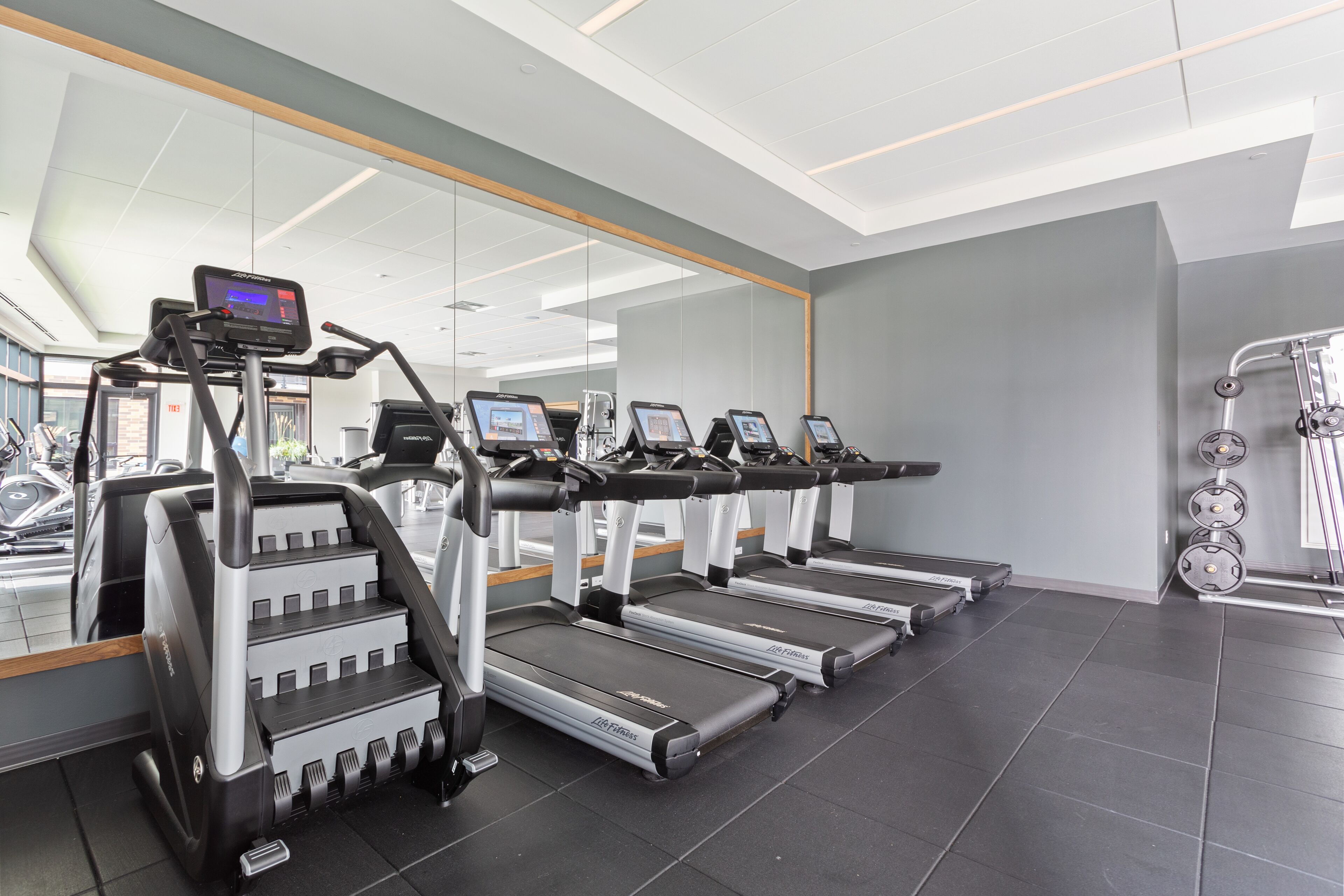 Une salle de sport équipée de tapis de course, d’appareils de musculation et d’un mur recouvert de miroirs.