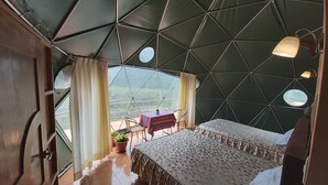 Habitación doble panorámica