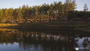A row of cabins with a forest backdrop and a body of water in the foreground. - Resort Stara Wieś (Patnów)