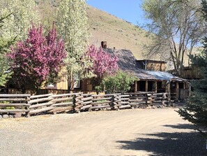 A rustic cabin with a dirt road leading to it, surrounded by blooming trees and a hilly backdrop.