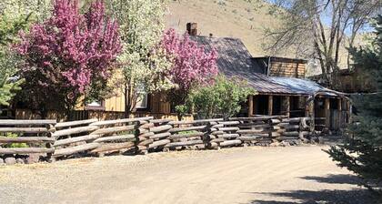 Come to the Ranch for an amazing experience.