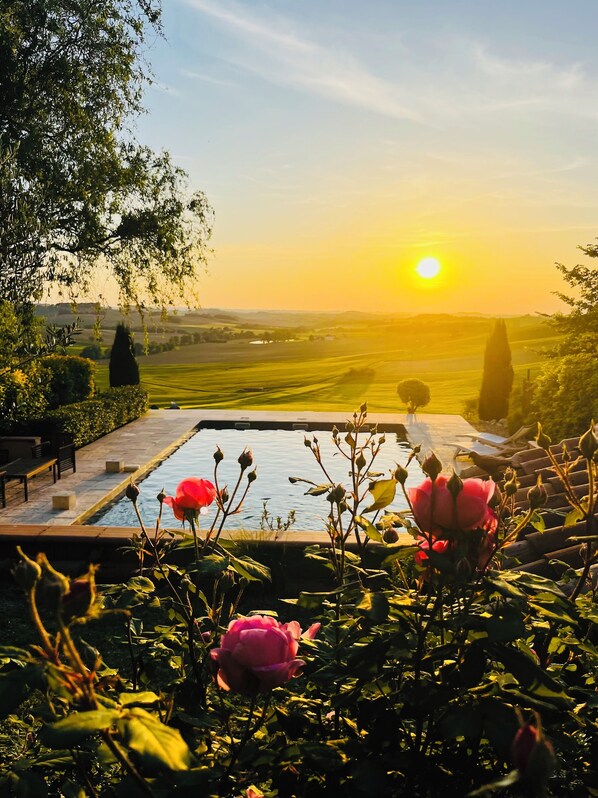A pool with water lilies and a sunset view.