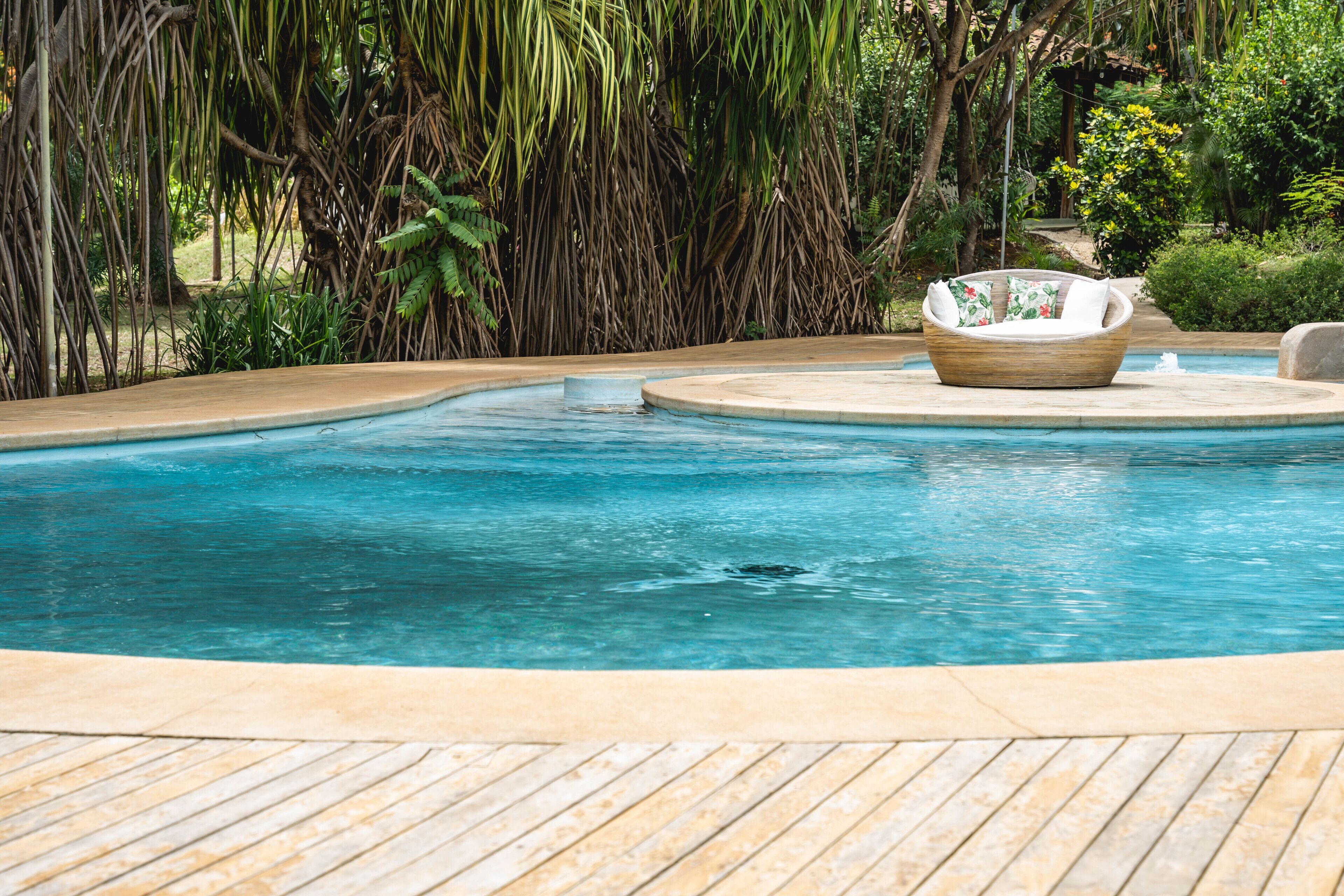 Outdoor pool, sun loungers