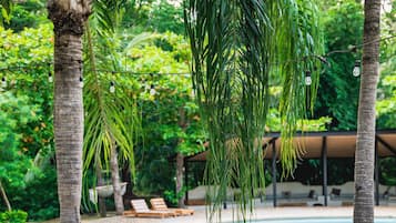 Outdoor pool, sun loungers