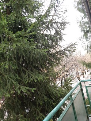 Property grounds - Central Boulevard apartment (Curtea de Argeș)