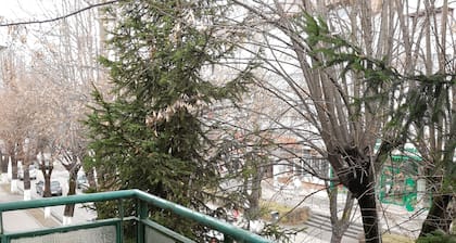 Central Apartment Boulevard