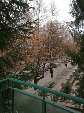 Property grounds - Central Boulevard apartment (Curtea de Argeș)