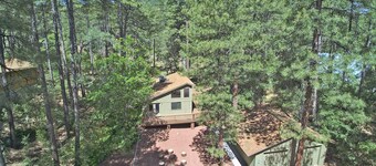 Simply Wonderful....Fully Remodeled Cabin in Pine, AZ
