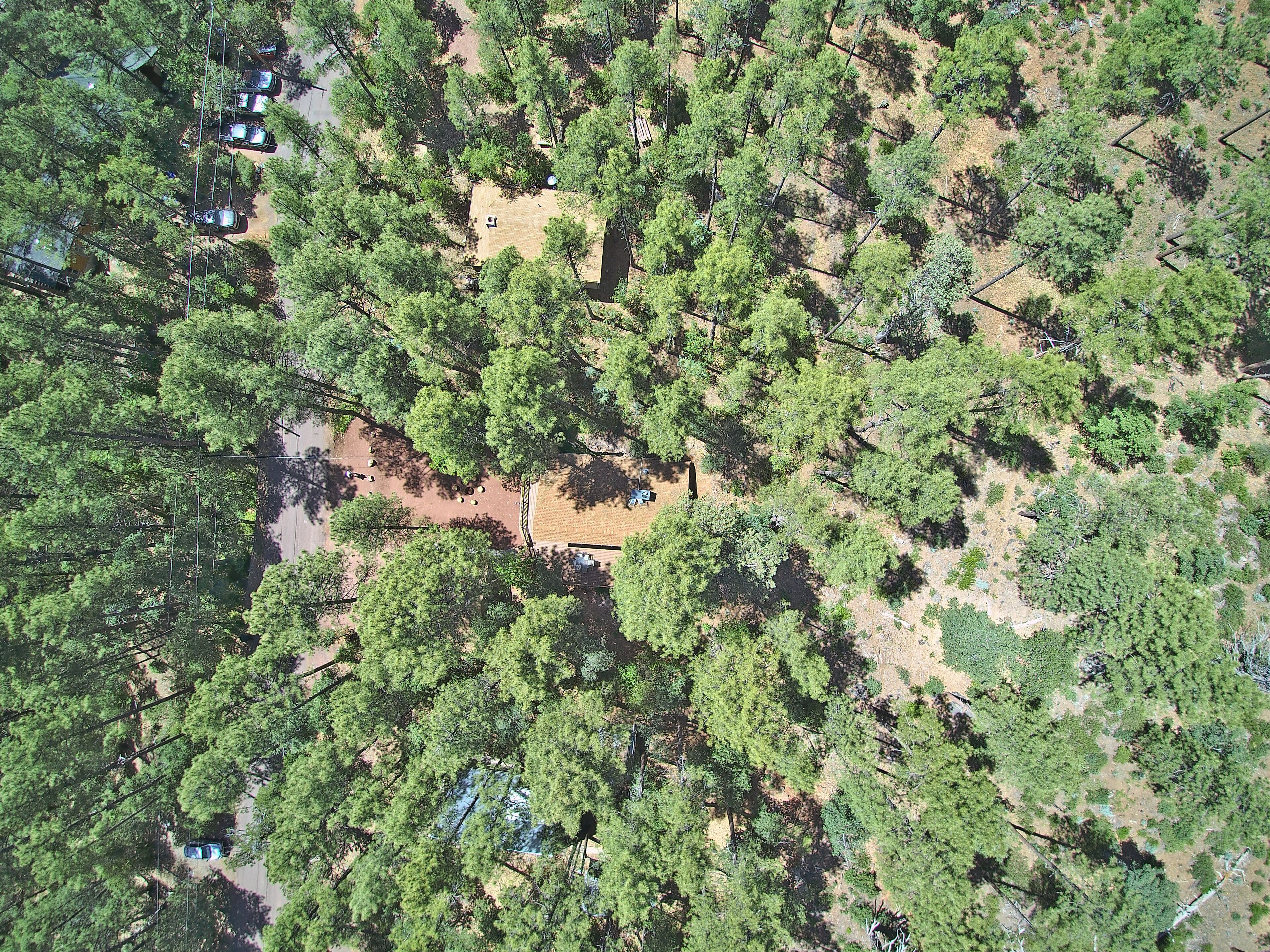 An aerial view of a forested area with a clear path leading to a building with a flat roof.
