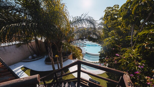 Un espace piscine doté d’une terrasse en bois et entouré d’une végétation luxuriante.