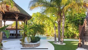 Un jardin tropical doté d’un kiosque à toit de chaume, de palmiers, d’une piscine et d’une pelouse bien entretenue.