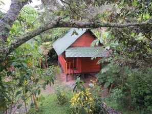 Cabane