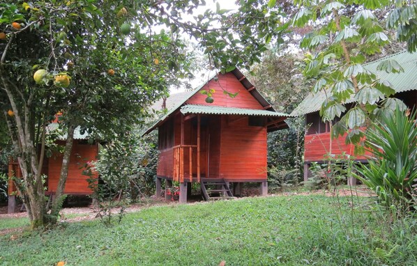 Cabane