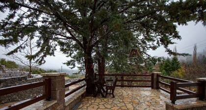 Dandy Villas Agoriani - Chalet Iris- Fireplace - Up to 6