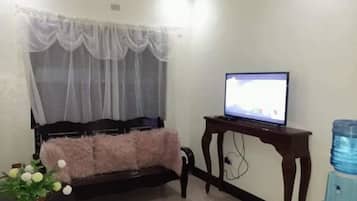 Flat-screen TV