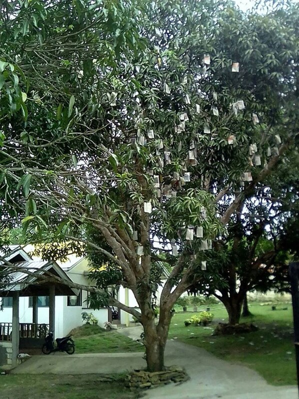 Enceinte de l’hébergement