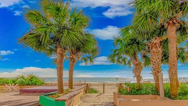 On the beach - Sea Mist 51405 (Myrtle Beach)