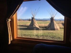Experience the serene beauty of the great outdoors from the comfort of this traditional tipi, set amidst a lush grassy field with breathtaking mountain views.