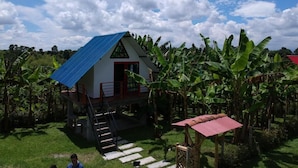 Exterior - Finca Ecoturistica La Argelia (Montenegro)