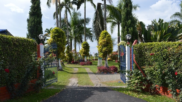 A pathway leading to a gated entrance with a well-maintained garden and palm trees. - Finca Ecoturistica La Argelia (Montenegro)