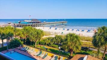 House | Pool | Indoor pool, outdoor pool