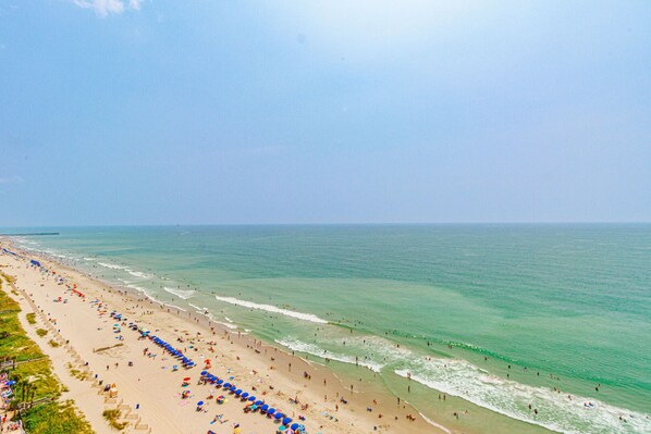 Basic Studio | View from room