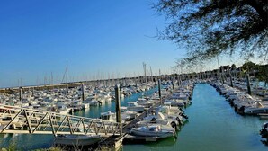 Een jachthaven met tal van boten, afgemeerd in rijen en verbonden door looppaden.